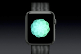 How to Create The Apple Watch Breathe App Animation with CSS