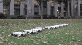 Watch a Herd of MIT’s Mini Cheetah Robots Frolic in the Fall Leaves
